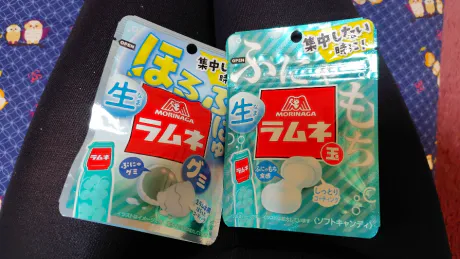 急遽明日…！/笹本 静香