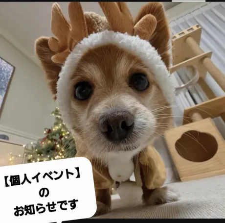 めい (魅惑のEカップ、パイパン嬢)デリボックス