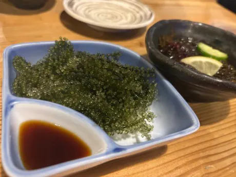 アイリセレブガーデン