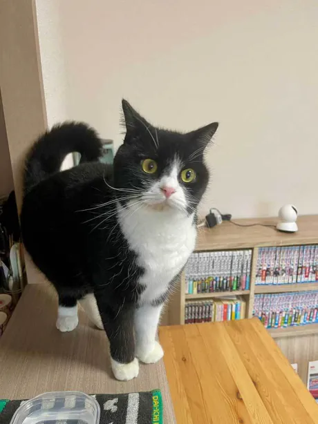 おはよう (*^^*)/なお