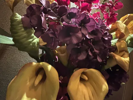 今日は/新人はるみ【青森】