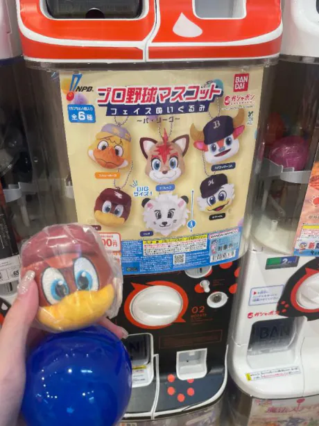 出勤🐰