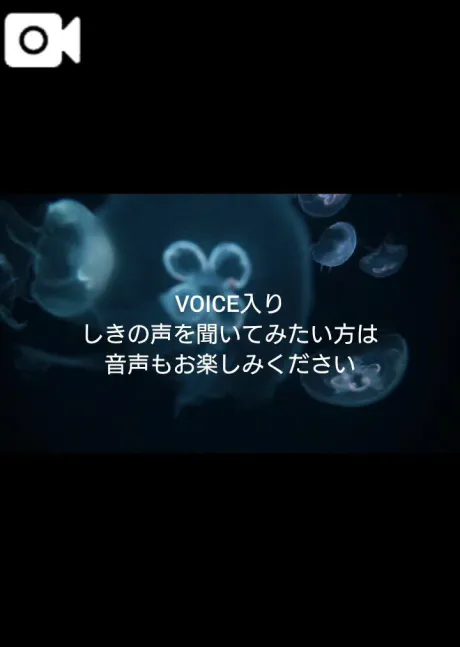 音声付動画🎀リクエスト受付中🎀/しき　奥様