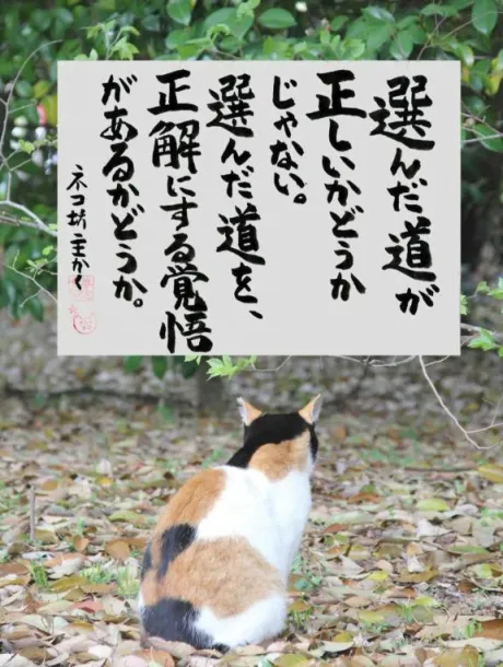 シオン人妻生レンタルーNTRー