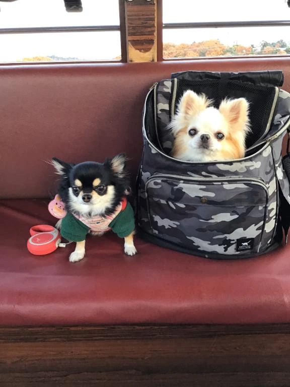 大好きなかおりさんへ