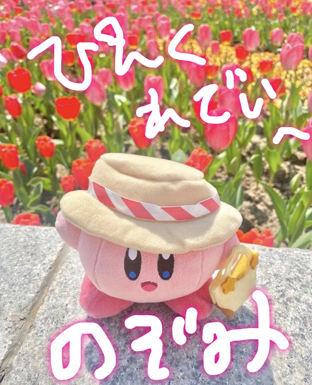 みなさんこんにちわ 🌼☺️