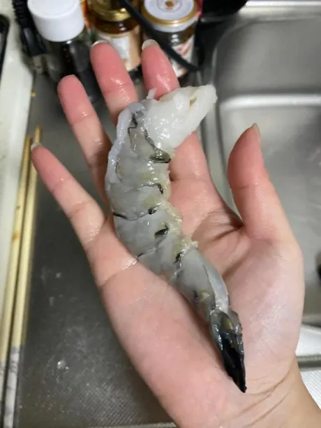 超特大ブラックタイガーで料理🦐/さつき