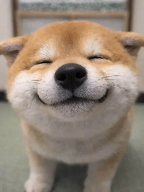 おはよう ( * ・ω・) ノ/なお