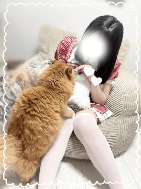 えね☆プラチナ生徒☆のブログ ありがとうございました🐈
