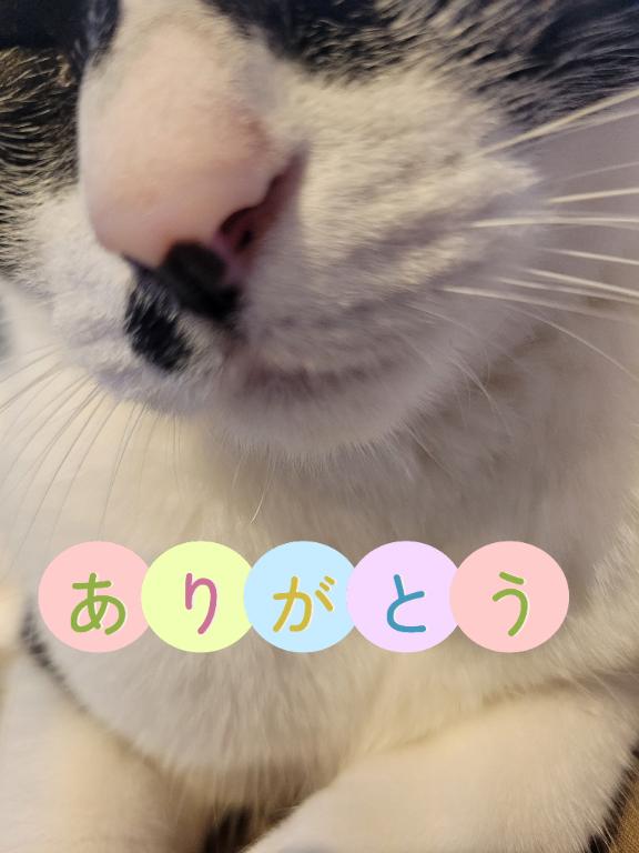 6月もありがとうございました👼