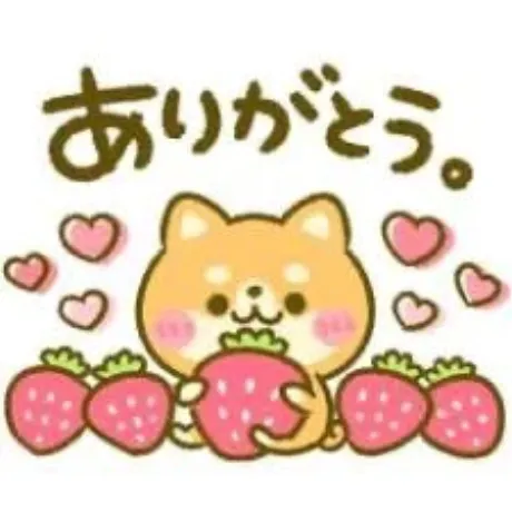 お礼日記/さなえ