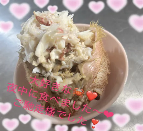 城沢　ののかEscort Club CLASSY