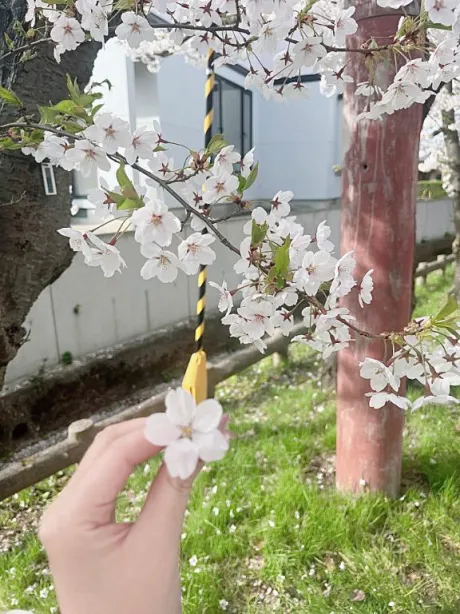 ありがとう🙌🏻♡/いずみ