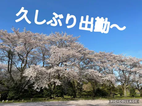 04/17 15:33かなえ