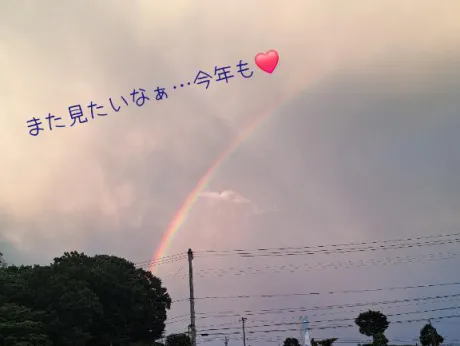ハルミセレブガーデン