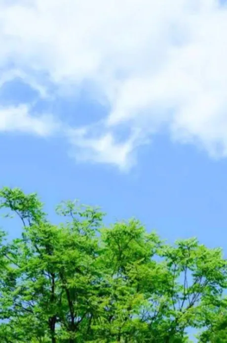清々しい朝