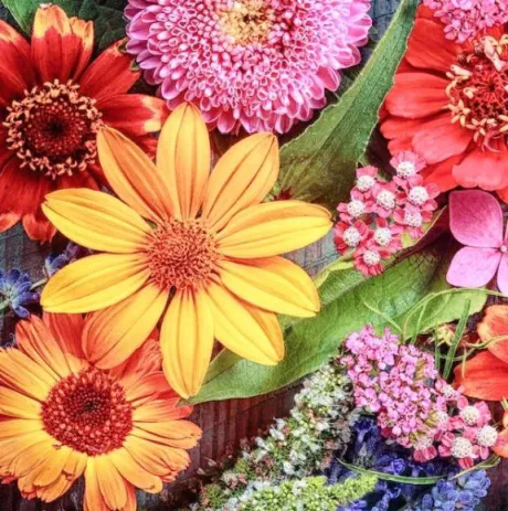 スタート⤴😆/鈴夏(すずか)