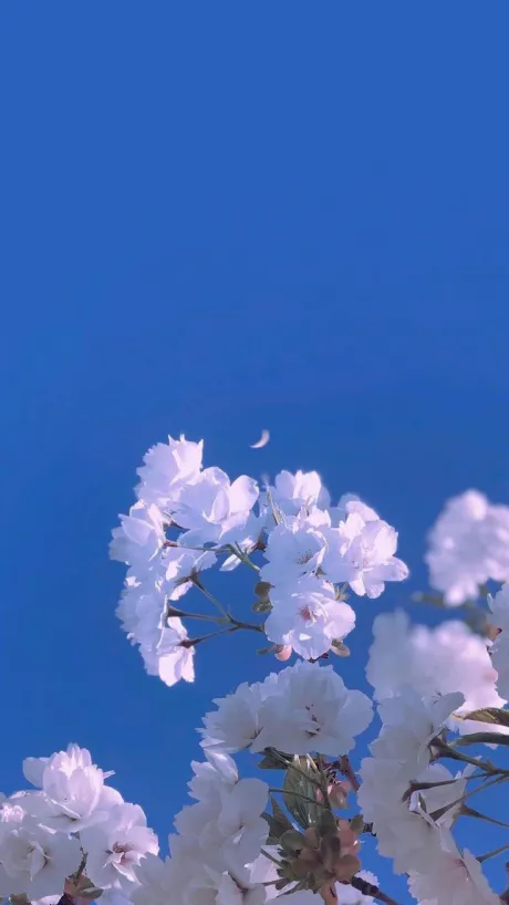 7/12業界初♡うな♡のブログ 19:30から60分のおにいさんと20:30から90分のおにいさんへ