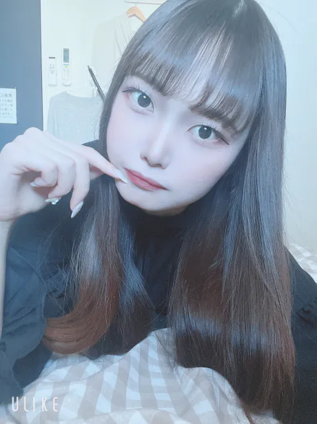 アヤメ【青森】私のこと必要でいてねDINO～ディーノ～