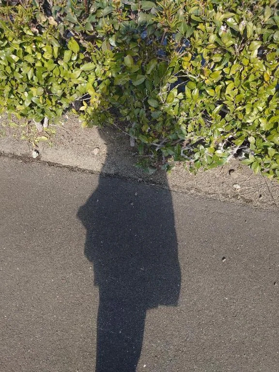 ★まみ★極上熟女店長激押し！隣の人妻お口で愛して