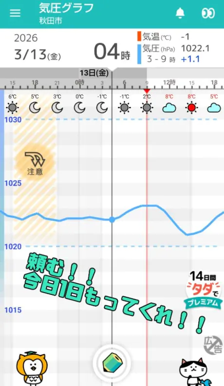本日出勤します🫡/あんじゅ