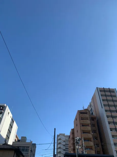 さりDeliysCure仙台