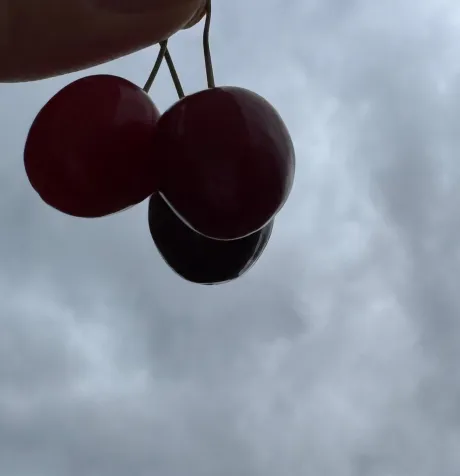 ももこです(^з^)紅さやか