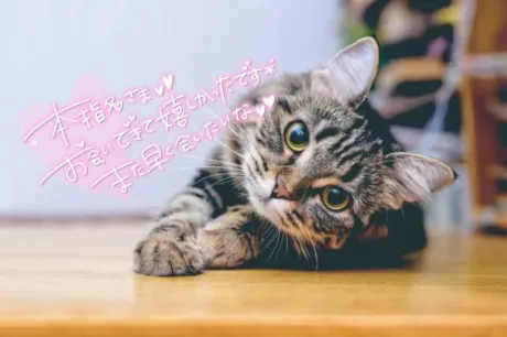 💌/仲村（なかむら）
