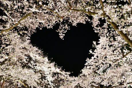 急遽/あいり[弘前]