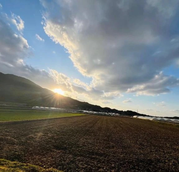 Mさん✨早くからのご予約ありがとうございます