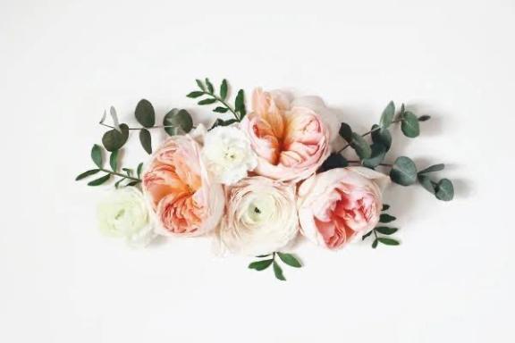 おはようございます♡