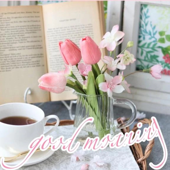 楽しみな予定🗓