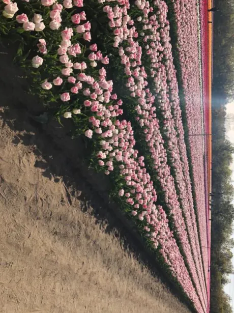 来週の予定🧑‍🌾/愛海-あいみ-