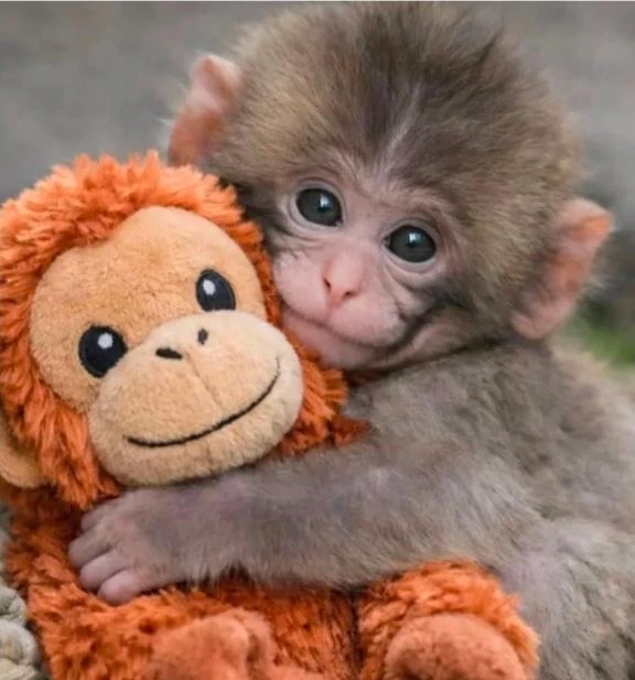 このか(青森)青森･弘前人妻デリヘル桃屋