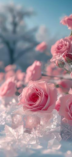 morning💌