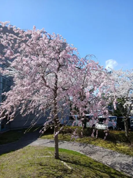 まゆおばさんの店　仙台FC