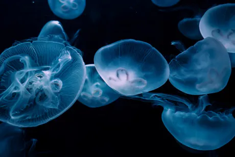 21:00～出勤🐬/業界初まりん(弘前)