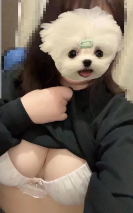 もどってきーたよ◜ω◝/きょうか