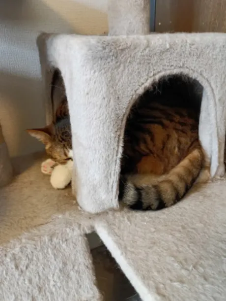 ゆうな 奥様仙台人妻セレブリティー