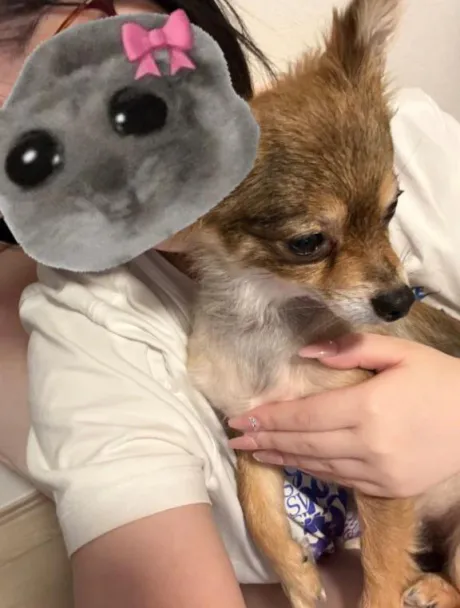( .ˬ.)