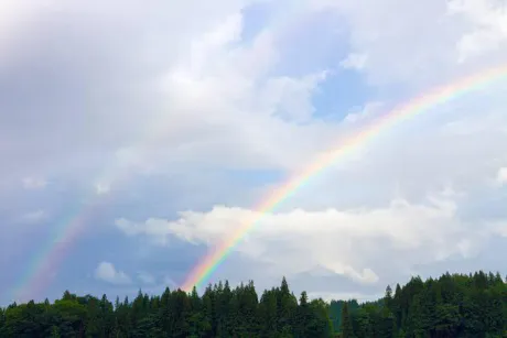 思い出はいつの日も/ことみ【弘前黒石】