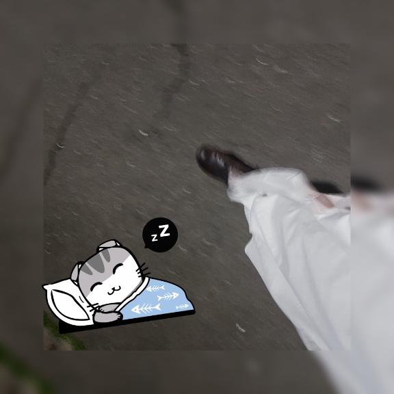おやすみなさい🛌ᶻ𝗓𐰁