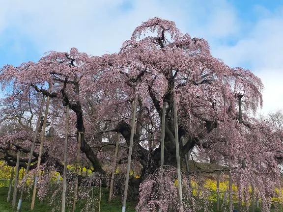 やっと行けた‼️
