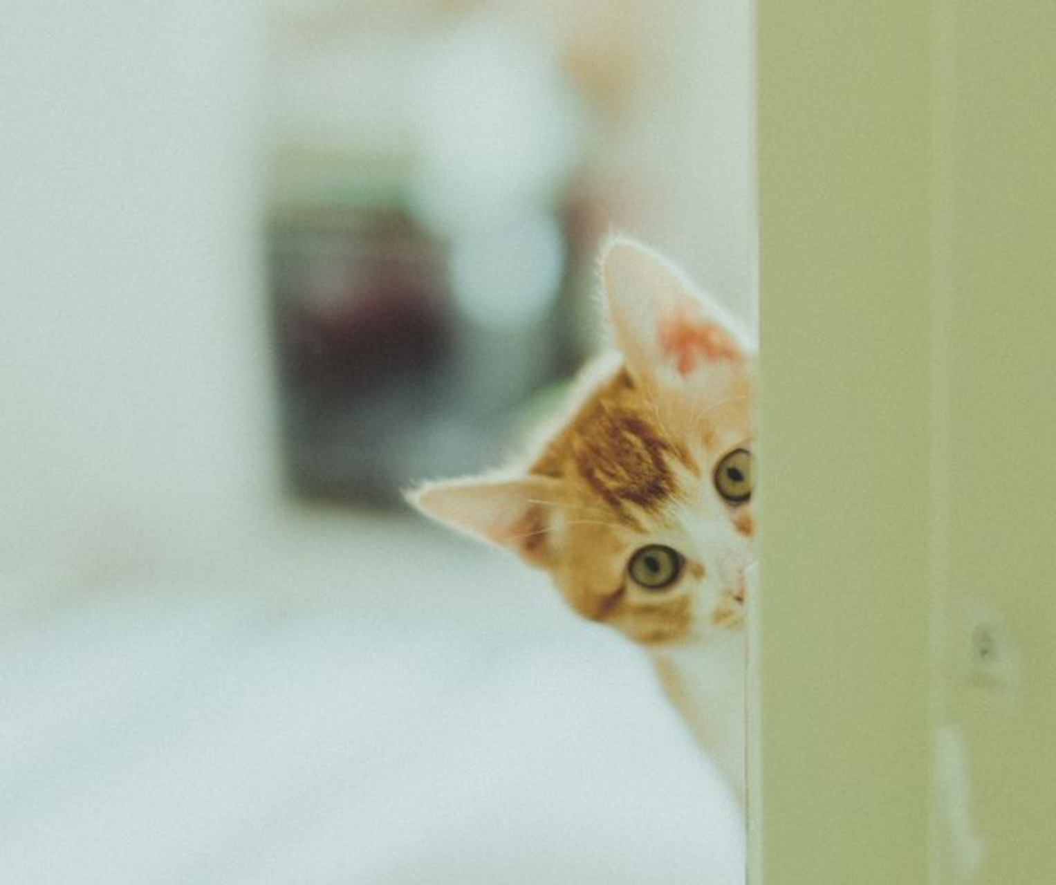 本日もよろしくお願いします♪