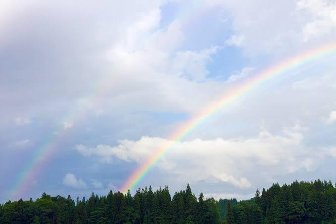 思い出はいつの日も/ことみ【本日限定青森】