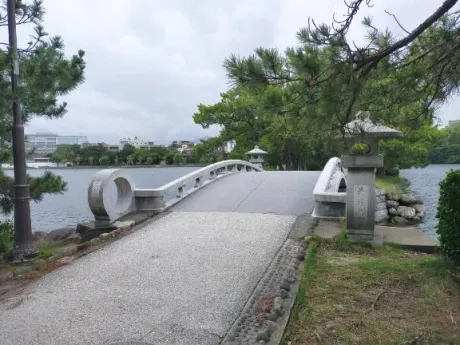 今朝の一枚/恵梨(えり)
