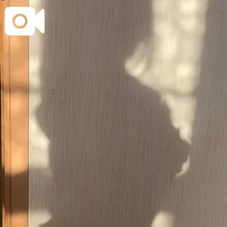 にこる素敵な女の子は好きですか?
