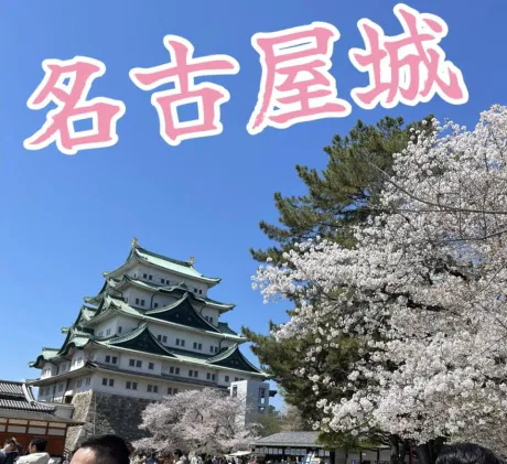 ☆きみえ奥様のブログ 出勤したよー