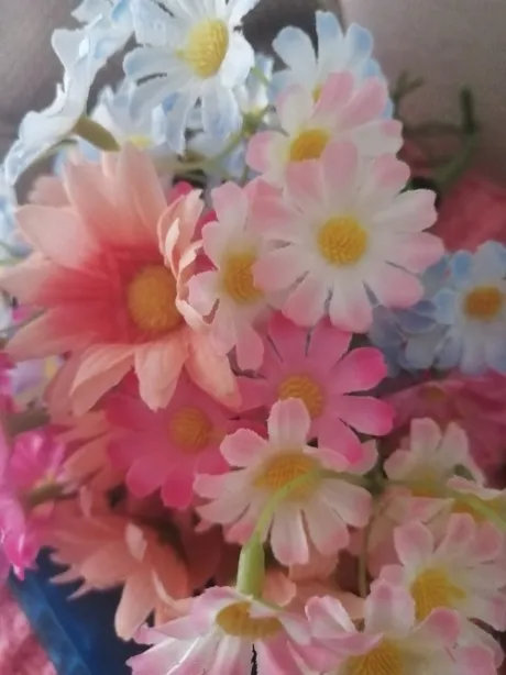 つばき【青森】のブログ おはようございます