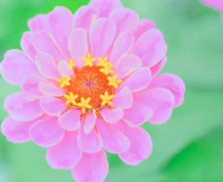 大丈夫かな(*´艸｀*)/ゆりか